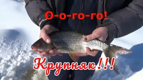 Чтоб рыба клевала