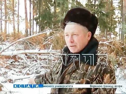 Сбор валежника в 2024