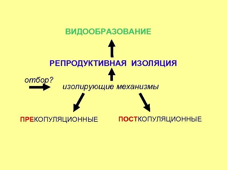 Изолирующие факторы. Схема изолирующие механизмы репродуктивной изоляции. Изолирующие механизмы видообразование. Репродуктивная изоляция. Примеры репродуктивной изоляции в биологии.