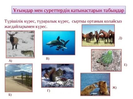 Толық жетілген аналар порно видео