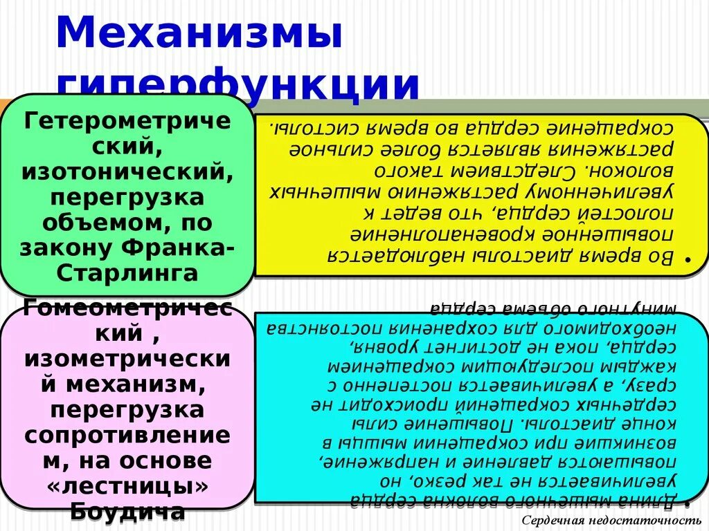 Гиперфункция сердца. Механизмы компенсаторной гиперфункции сердца. изометрическая гиперфункция миокарда. изотоническая гиперфункция сердца. гиперфункция миокарда патофизиология.