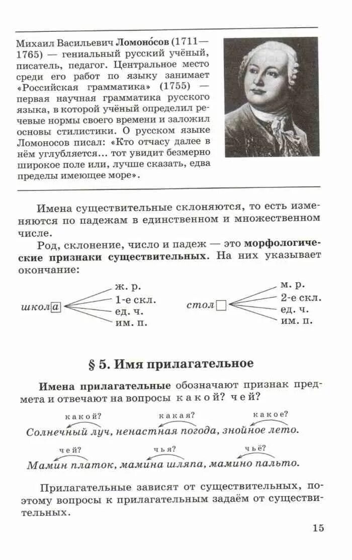 Русский язык теория 5-9 класс Бабайцева. Учебник по русскому языку теория 5-9. Русский язык теория книжка. Русский теория 5-9 класс.