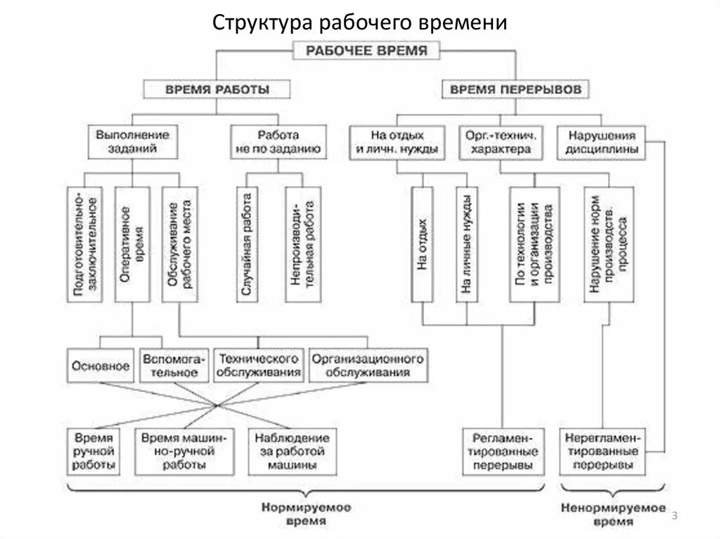 Что входит в основное время. Структура рабочего времени персонала. Структура рабочего времени схема. Структура затрат рабочего времени. Структура рабочего времени в нормировании труда.