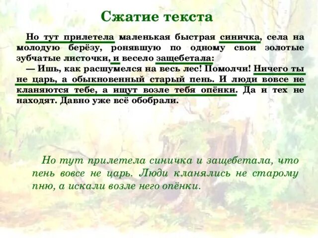 Старый пень изложение 5 класс. Сжатое изложение старый пень 5 класс. Сжатое изложение старый пень. Старый пень план.