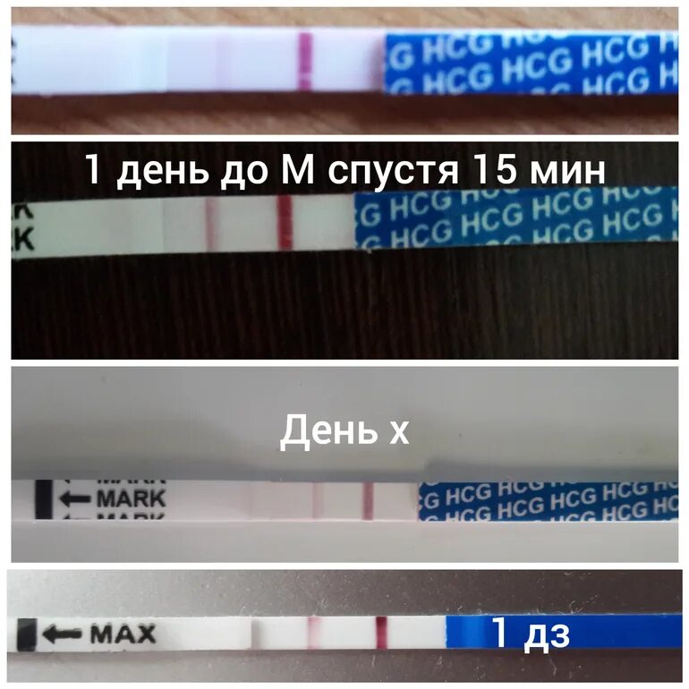 Тест показал беременность на 10 день задержки. Тест до задержки. Тест на беременность до задержки. Тест на беременность в день задержки. Тесты по дням задержки.