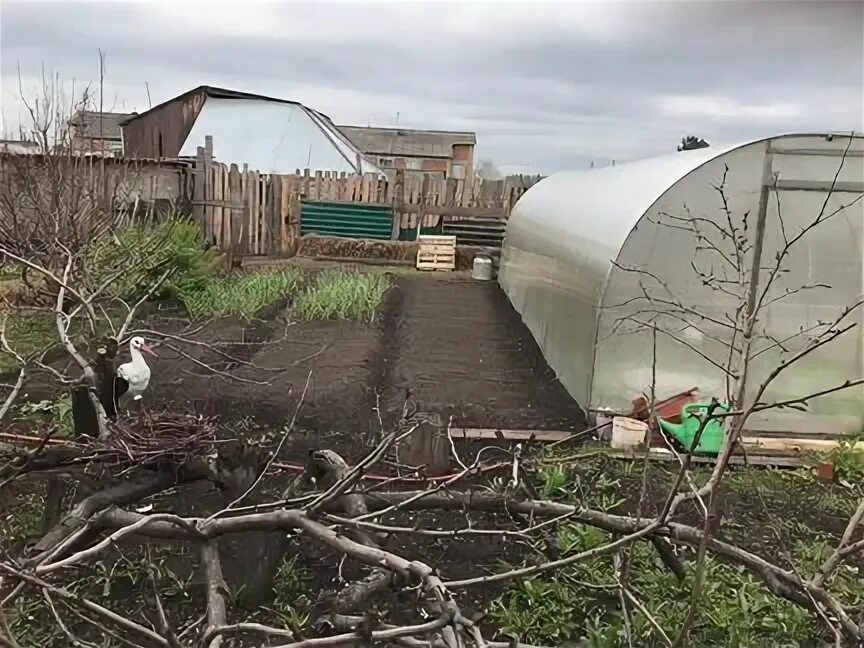 Плотниково Кемерово. Деревня Уфимцево. Деревня Калинкино Кемеровская область Промышленновский район. Лебеди Промышленновский район. Погода в плотниково промышленновского района