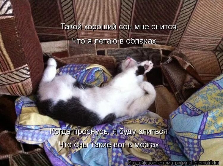 матрица для хорошего сна. памятка хорошего сна. сон и здоровье. польза сна инфографика. матрица отслеживания требований.