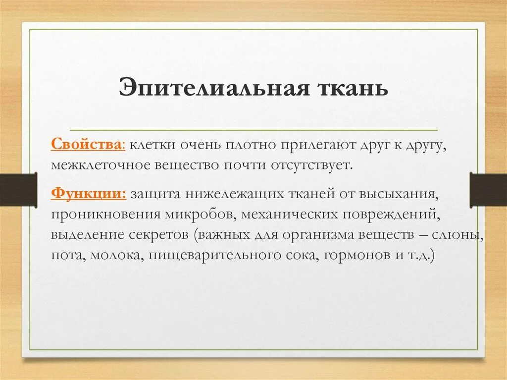 Какие функции выполняет эпителиальная ткань человека. Эпителиальная ткань выполняет функцию. Функции эпиталеальной ТКАНИТКАНИ. Свойства эпителиальной ткани. Какие функции выполняет эпителиальная ткань.