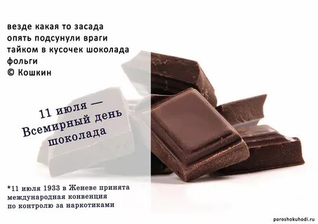 Шоколад читать полностью