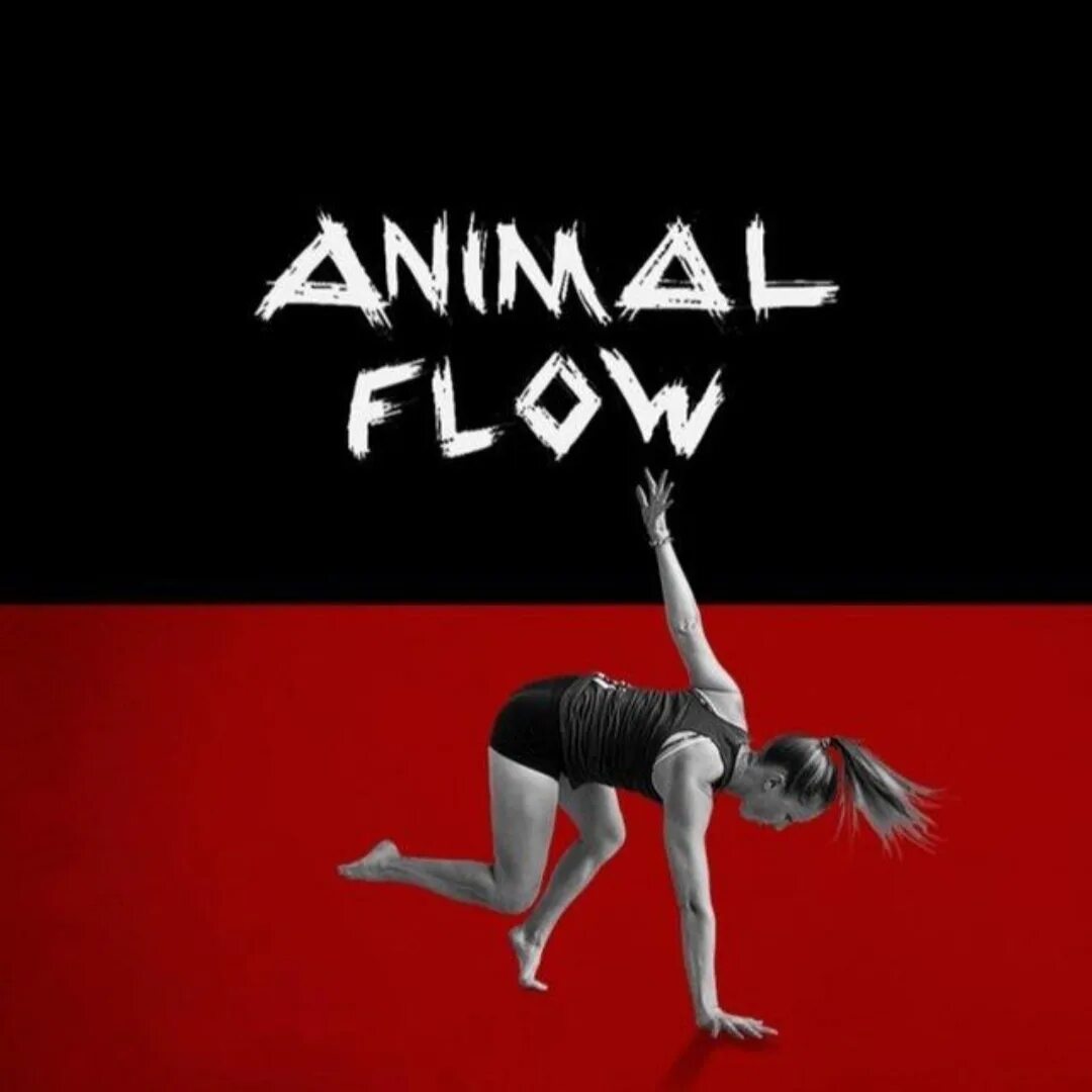 Animal flow. Animal flow. Animal flow. Animal flow тренировка. Animal flow фитнес.