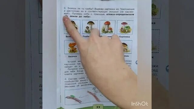 Домашнее задание окружающий мир. Окружающий мир 1 класс стр 29. Окружающий мир 2 класс стр 49. Окружающий мир 2 класс стр 48.