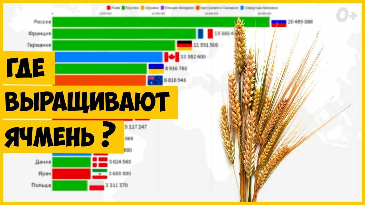 Ячмень страны. Лидеры по производству ячменя в мире. Производство ячменя по странам. Производство ячменя в мире по странам. Мировое производство ячменя.