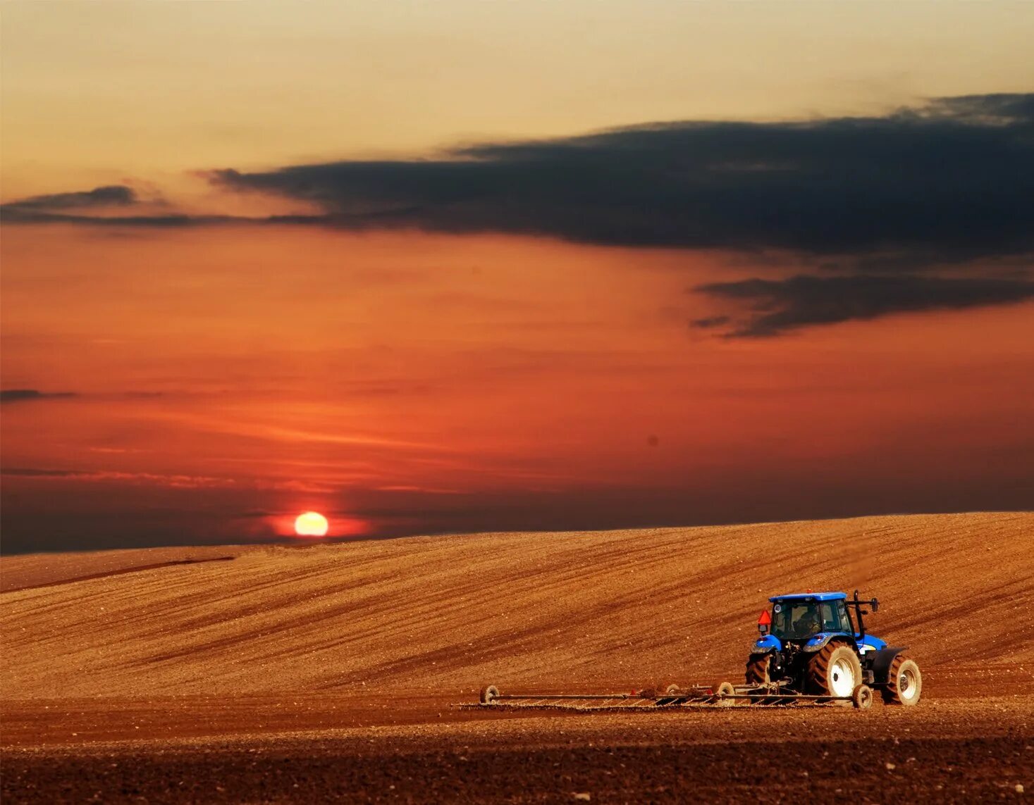 Трактор поле картинки. Трактор в поле. Трактор на закате. Пшеничное поле с трактором. Сельское хозяйство закат.