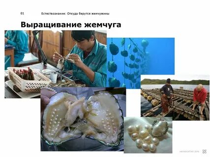 Образование жемчужин