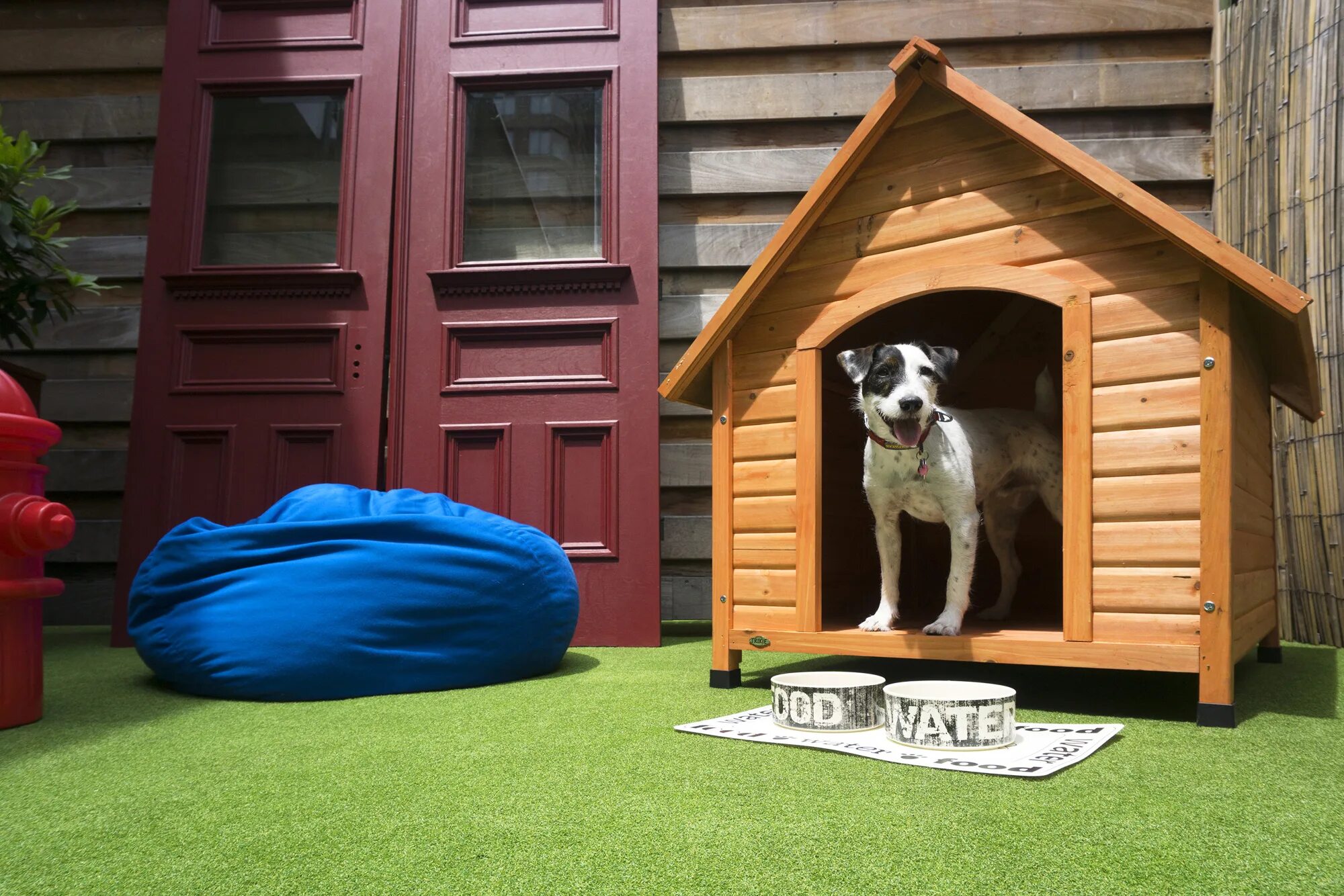 The dog house demo dog houses info