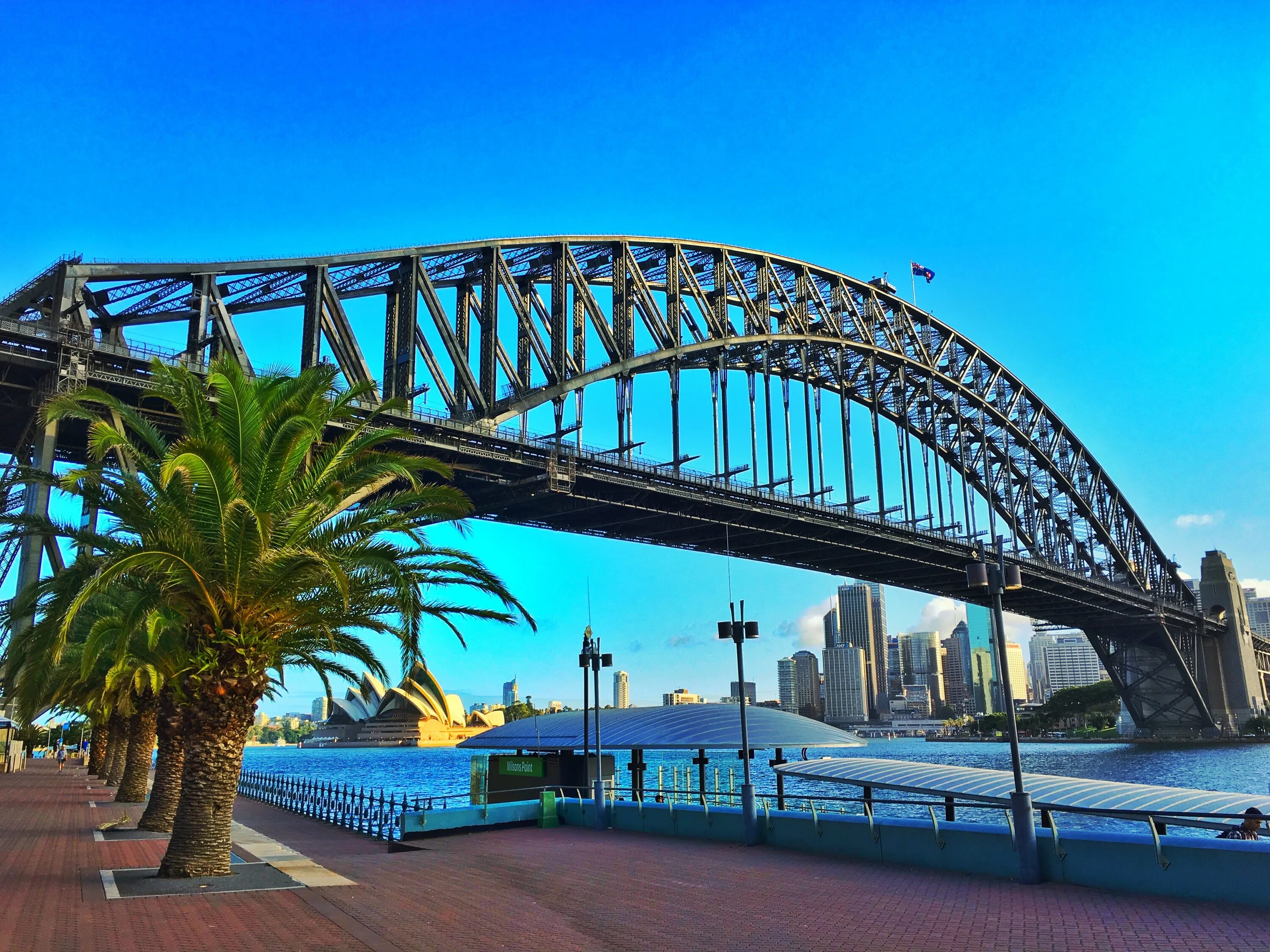 Harbour bridge. Мост Харбор-бридж в Сиднее. Мост Харбор бридж в Австралии. Харбор-бридж (Сидней, Австралия). Арочный мост Харбор бридж в Сиднее.