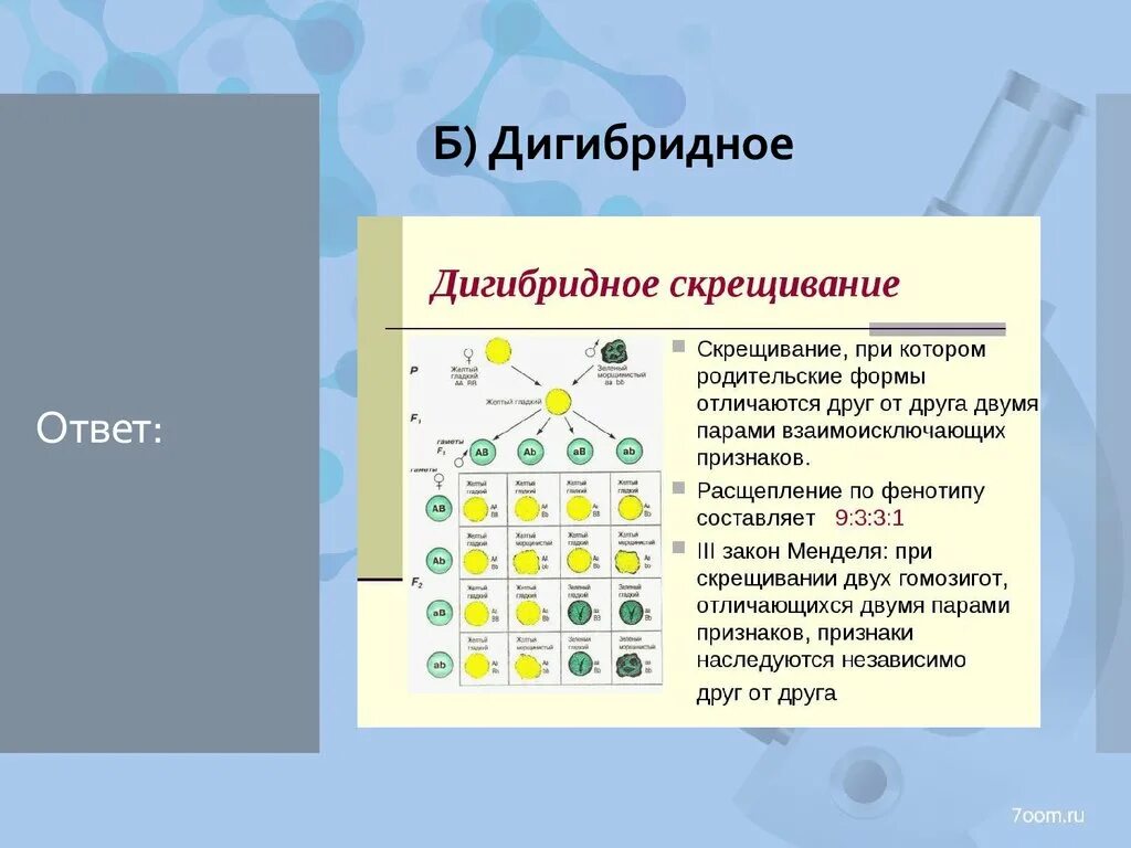 Характеристики дигибридного скрещивания. Схема дигибридного скрещивания. Дигибридное скрещивание растений. Последовательность дигибридного скрещивания. Этапы проведения дигибридного скрещивания.