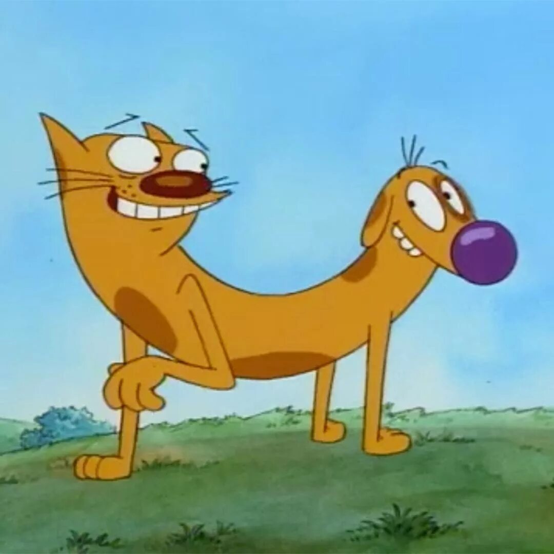 Котопес 1998 2005. Котопес 1998 2005. Котопес. Котопес 2005. Котопес 2005.