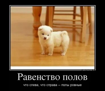 Хочу не иметь пола