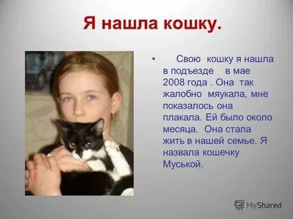 Пуся муся как звали 3 котенка