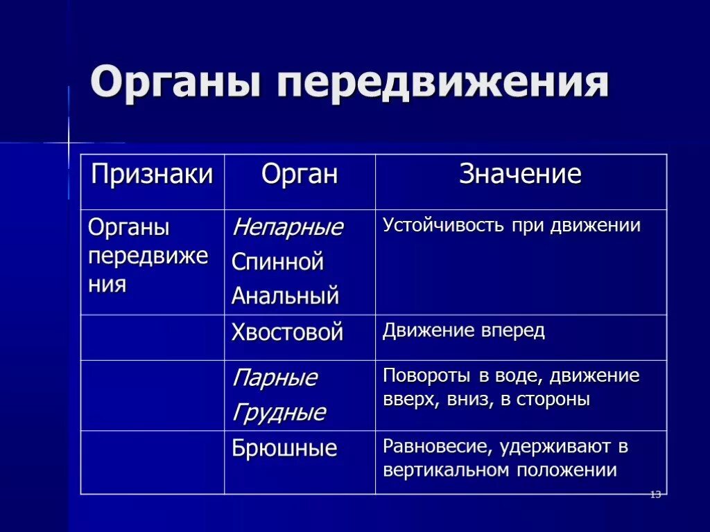 Органы передвижения рыб. Органы передвижения рыб таблица. Признаки строения рыб. Особенности внешнего строения рыб. Передвижение рыб в воде