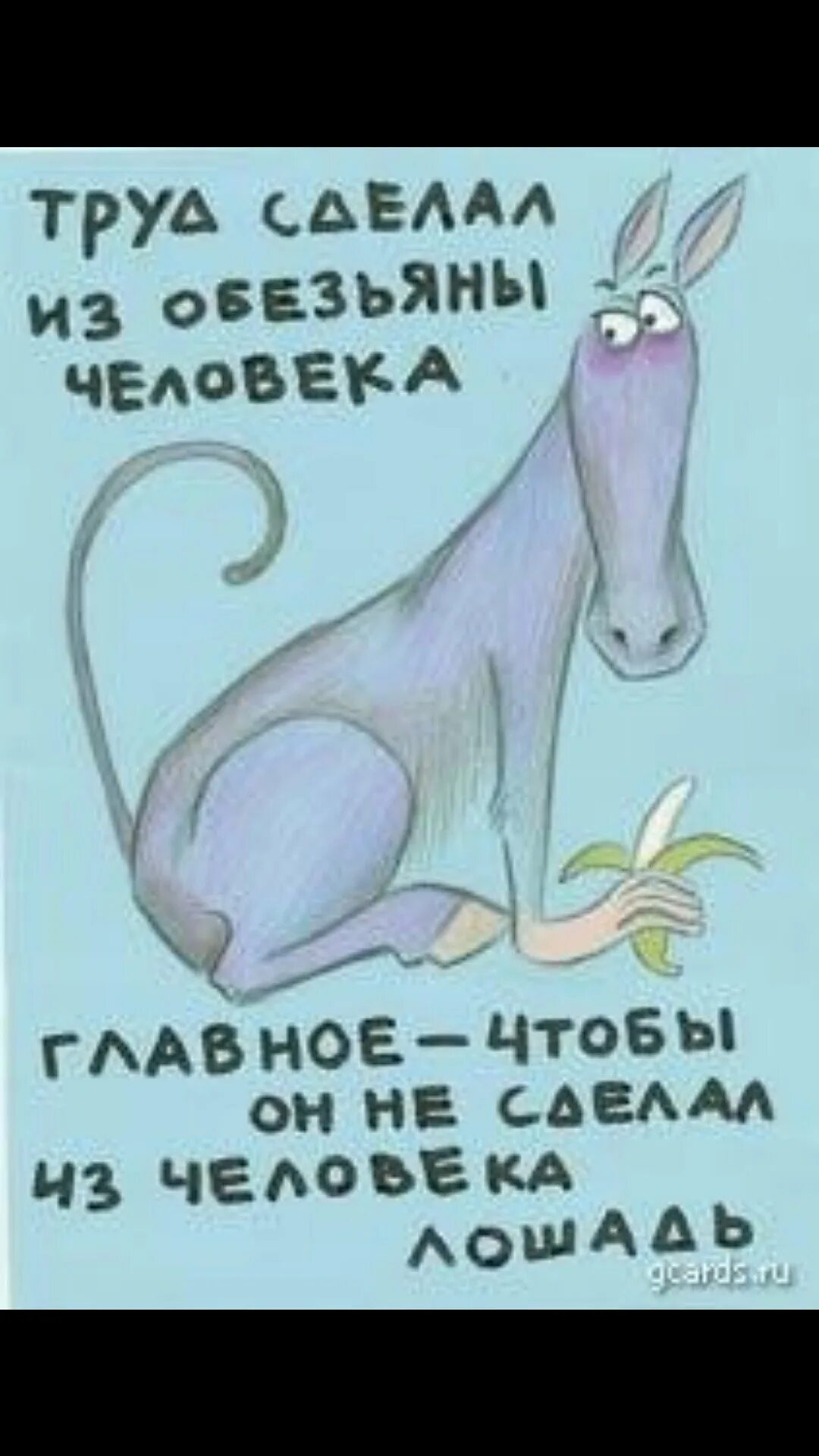 Поздравление с первым днем работы. Поздравление с первым рабочим днем. открытка с первым рабочим днем. смешные поздравления с первым рабочим днем. прикольные поздравления с 1 рабочим днем.