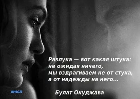 Короткое расставание