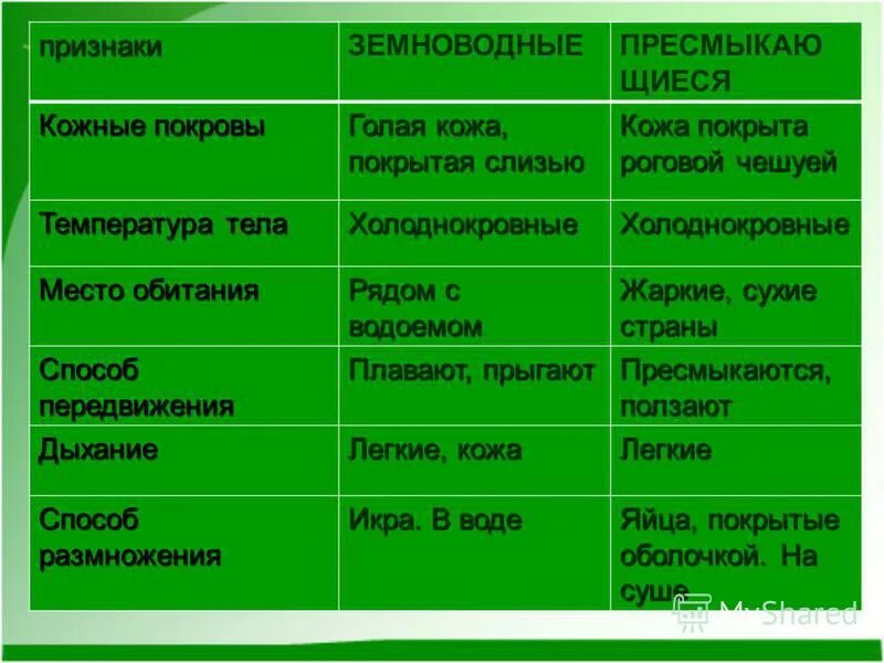 Признаки рыб и земноводных. Признаки амфибий и рептилий. отличие земноводных от реп. отличие земноводных от рептилий. класс земноводные таблица.