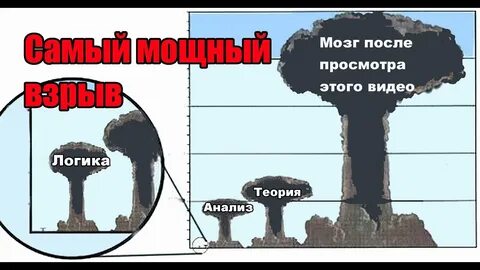 Стратег диванного легиона