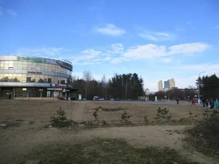Галактика сосновый бор