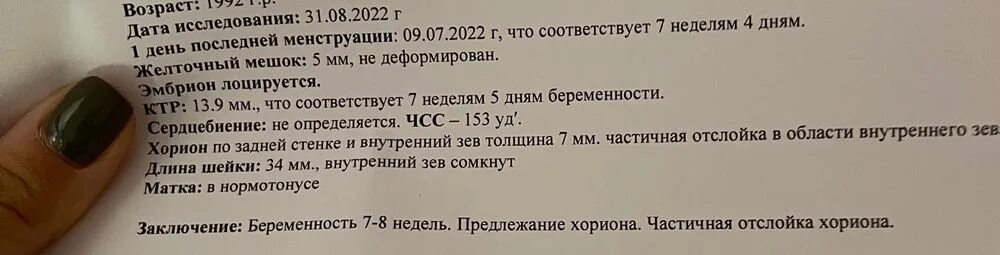 Хорион амнион аллантоис функции. Низкий хорион что это. Низкий хорион что это. Амнион хорион аллантоис рептилий. Низкий хорион что это.
