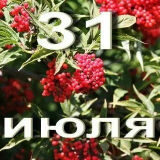 29 30 31 июля