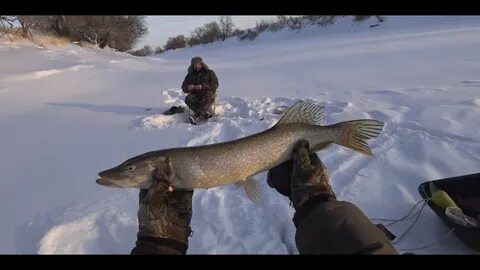 Рыбалка щука окунь видео