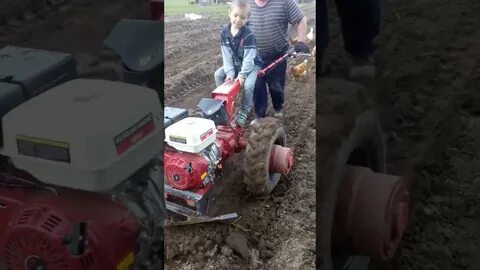 Посадка картофеля мотоблоком мтз