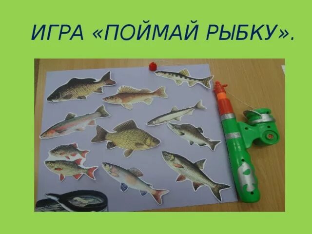 Игра "Поймай рыбку". Дидактическая игра Поймай рыбку. Старинная игра Поймай рыбку. Русская народная игра Поймай рыбку.