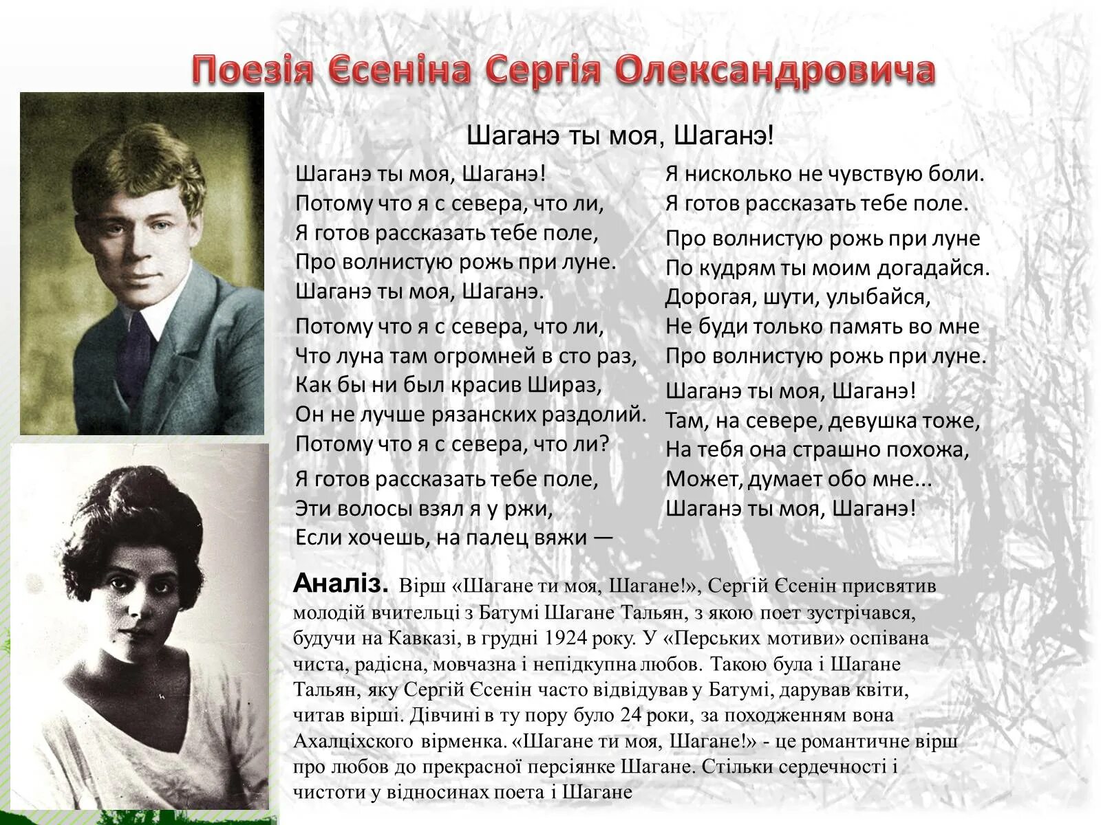 Шираз Есенин Шаганэ. Шаганэ ретузес. Есенин Шаганэ ты. Есенин шаганета моя. Я готов рассказать тебе поле про волнистую