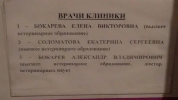 Бокарева петрозаводск. Бокарев ветеринар петрозаводск. Бокаревы ветклиника петрозаводск. Бокарева петрозаводск. Бокарева петрозаводск.