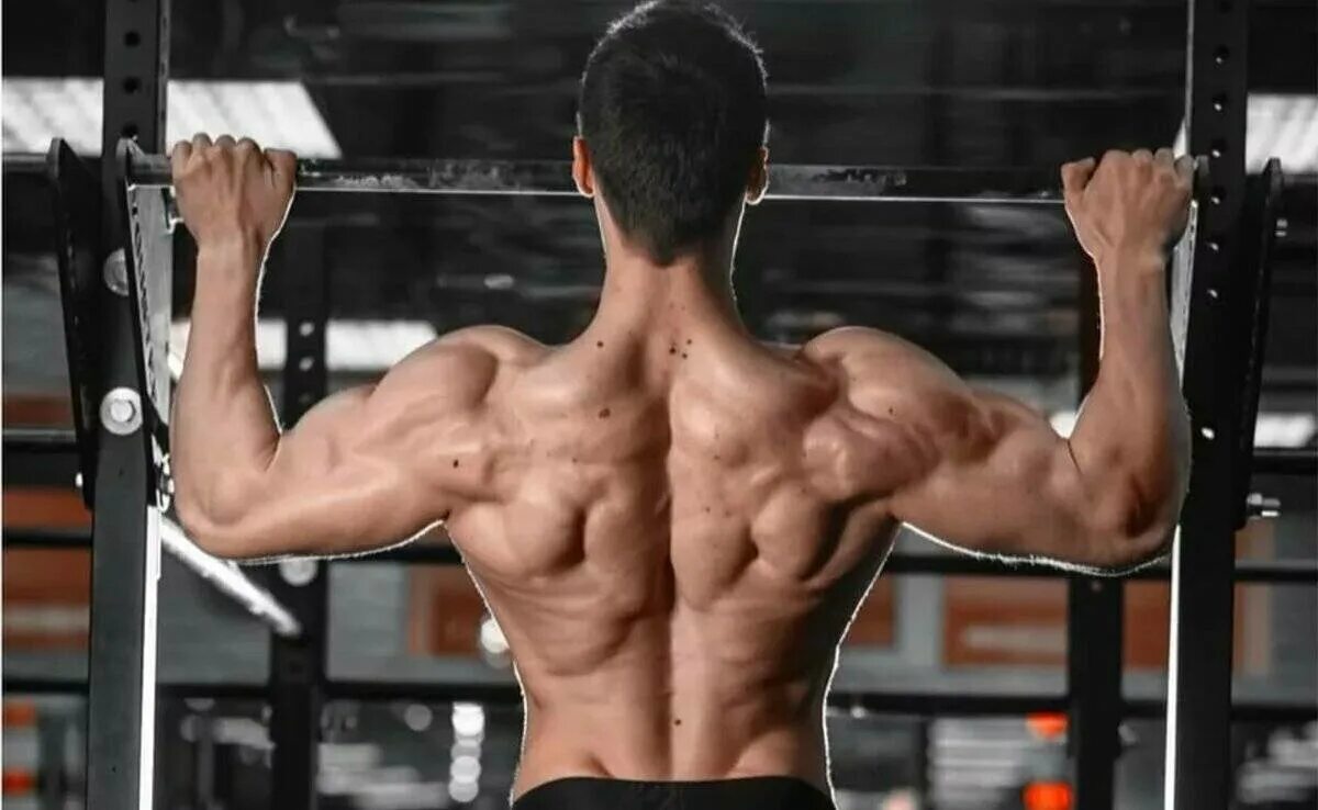 Атлас силовых упражнений делавье. Подтягивания на турнике группы мышц. Подтягивания супинированным хватом. Упражнения на спину на турнике. Упражнения для подтягивания мышц.