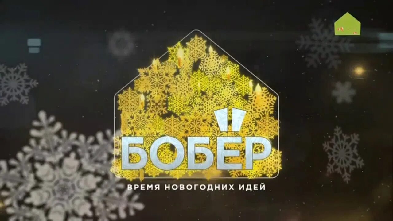 Программа бобер. Бобер тв. телеканал бобер новые заставки. канал бобер видео заставка.