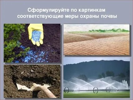 Что относится к охране почв