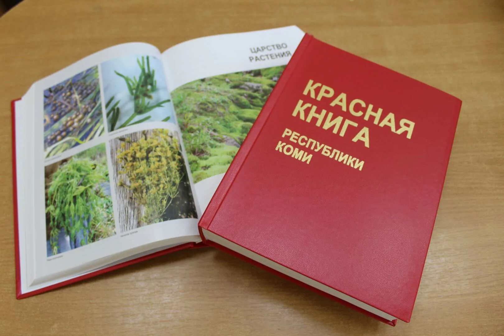 Книга республика россия. Красная книга Республики Коми. Республика Коми книга. Красная книга Республики Коми книга. Красная книга Республики Коми для детей.