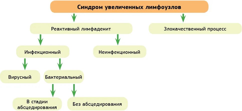 Лимфоузлы синдром. Синдром увеличения лимфатических узлов. Лимфаденит классификация. Синдром увеличения лимфатических узлов у детей. Лимфаденит лица и шеи классификация.