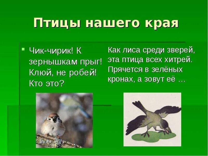 Сезонные явления в жизни птиц. Сезонные изменения в жизни птиц. Годовой цикл жизни птиц. Сезонные явления в жизни птиц 7 класс.