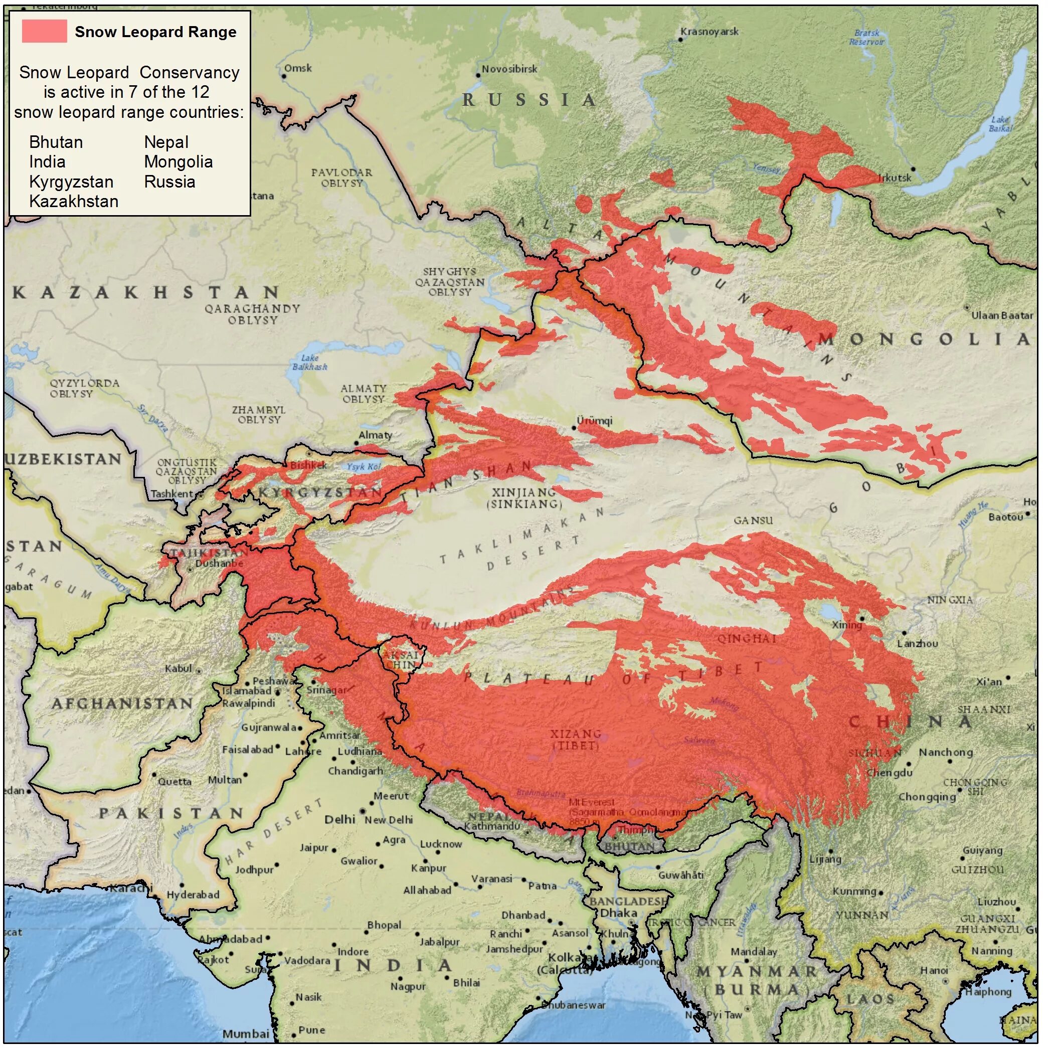 ареал обитания снежных барсов в мире. места обитания снежного барса на карте мира. ареал снежного барса. ареал обитания снежного барса на карте мира. ареал снежного барса.
