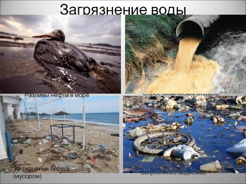 Проблемы загрязнения окружающей среды нефтью. Последствия загрязнения окружающей среды. экологические проблемы нефти. химическое загрязнение воды последствия. нефтяные загрязнения окружающей среды.