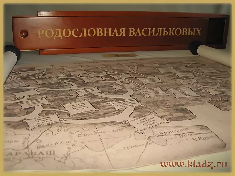 Семейное агентство. Оформление родовой книги. Свиток родословной. Стенд древо. Свиток родословная.
