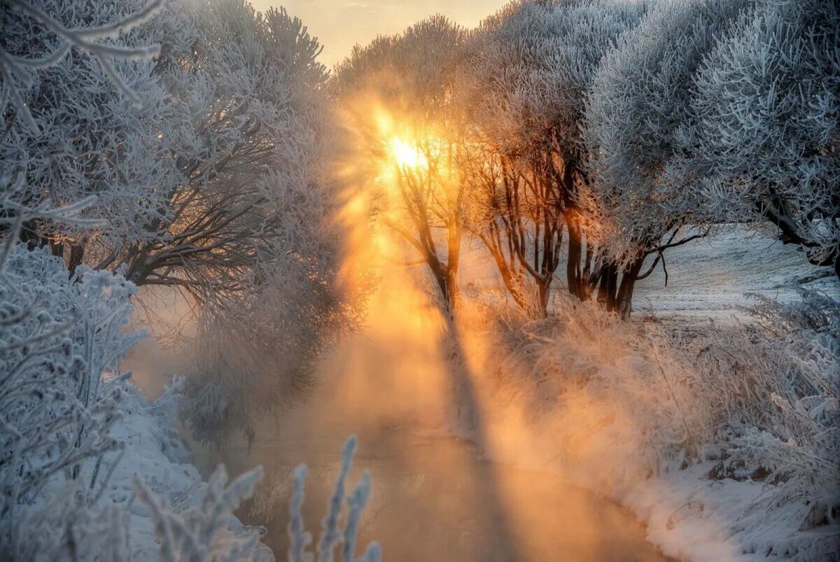 Красивого утра февраля. Рассвет зимой. Зимний пейзаж. Зимний лес солнце. Рассвет в зимнем лесу.