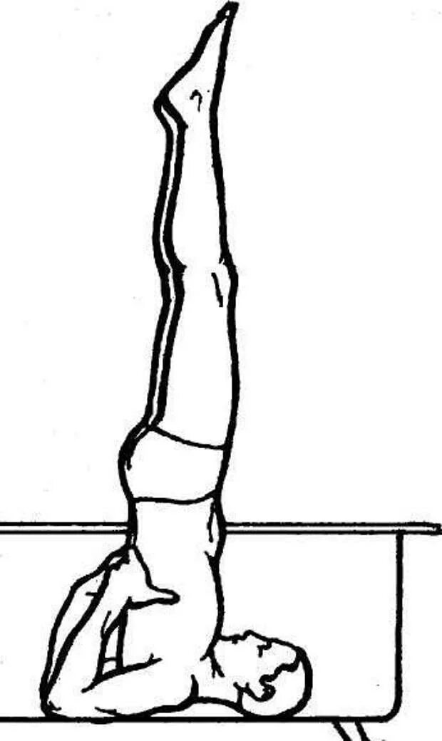 Саламба сарвангасана. Берёзка гимнастическое упражнение. Березка упражнение в гимнастике. Акробатические упражнения Березка. Ноги березкой