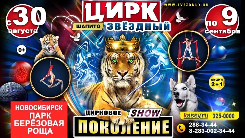 Цирк шапито в новосибирске 2021. Томск цирк 2021. Цирк томск 2021 дворец спорта. Цирк в звездном липецк. Цирк в звездном липецк.