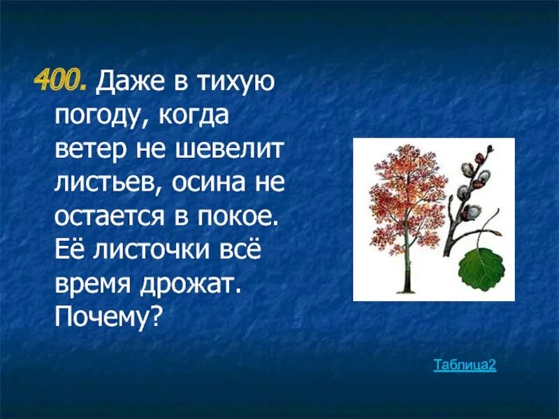 Безветренная погода как называется. Осина на ветру. Осина описание для детей. Предложение про осину. Загадка про осину.